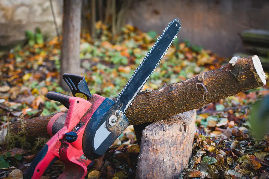Tree Cutting